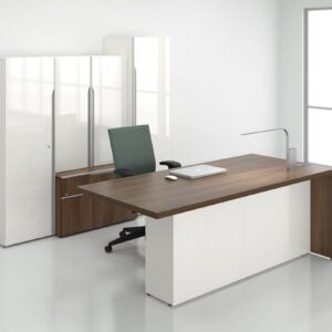 elaris executive desk (copy)