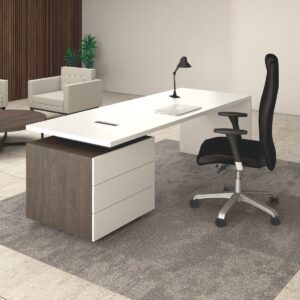 orlina executive desk (copy)